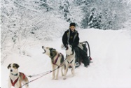 Dogsledding